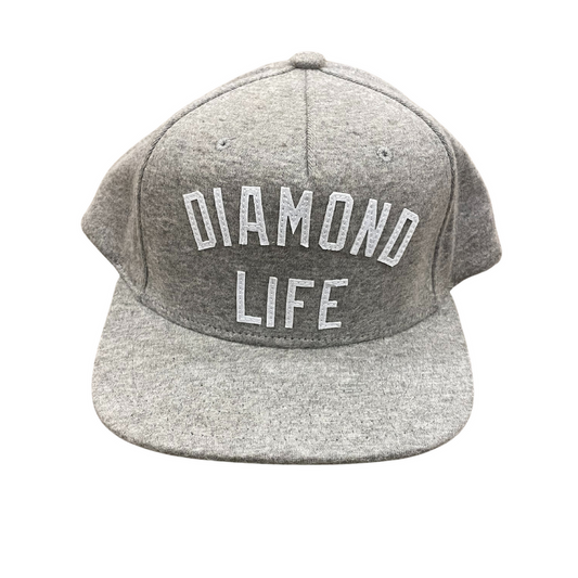 Diamond Supply Co.Snapback Gray